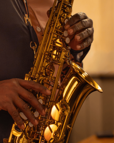 Jazz Night at Sariska